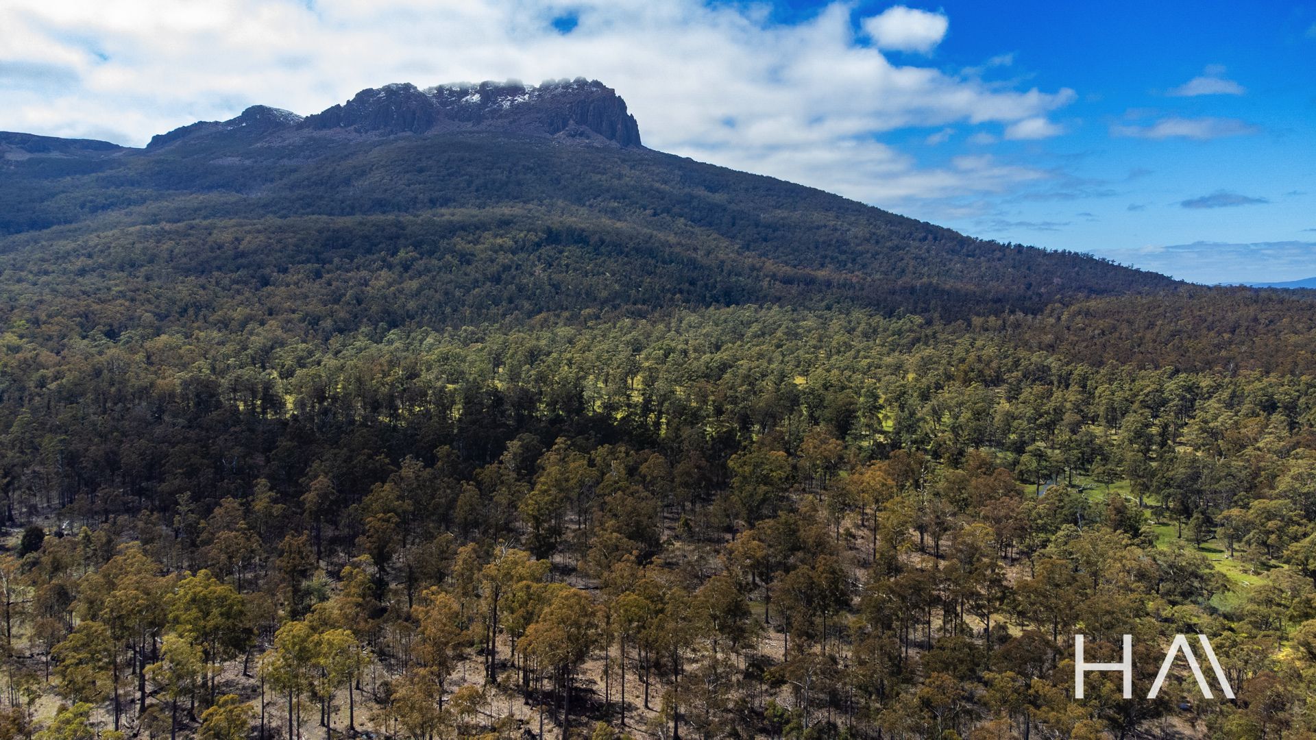 Bona Vista Storeys Creek Road, Avoca TAS 7213, Image 1