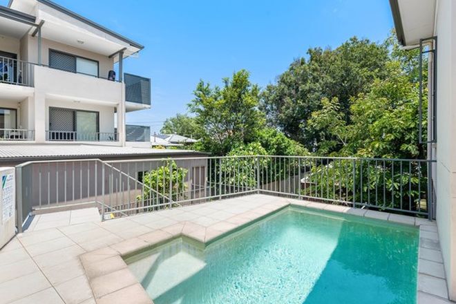 361 Apartments For Sale In Clayfield Qld 4011 Domain