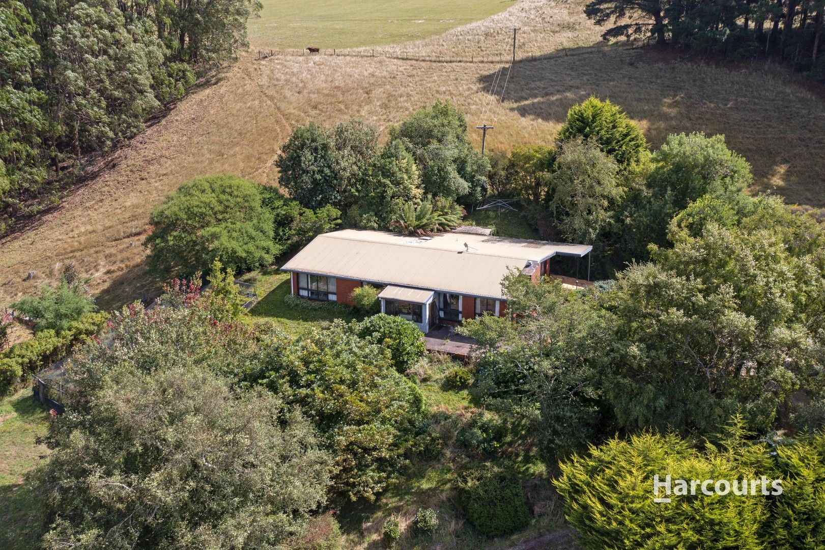 311 Johnsons Road, Yolla TAS 7325, Image 0