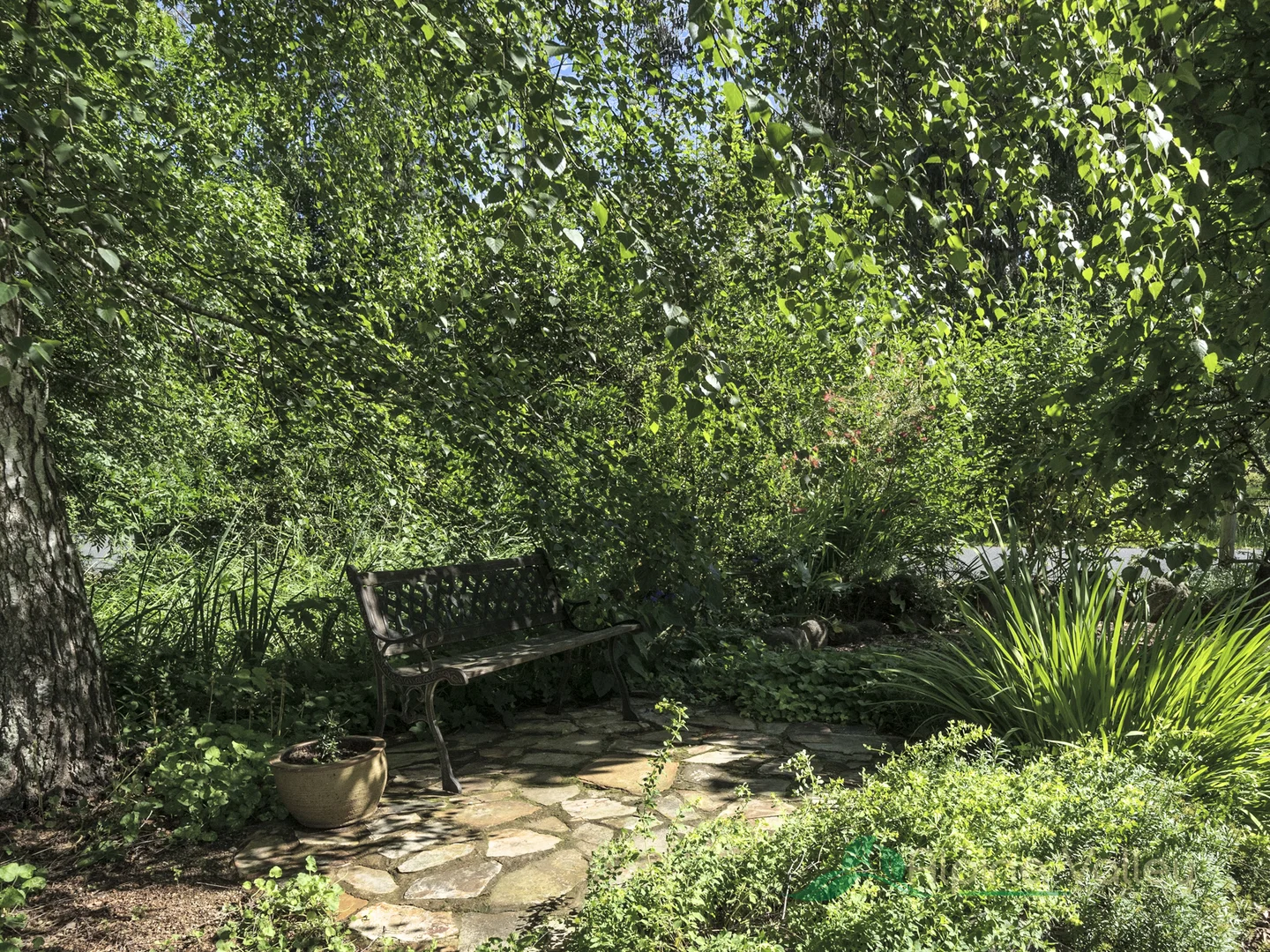 Image 22