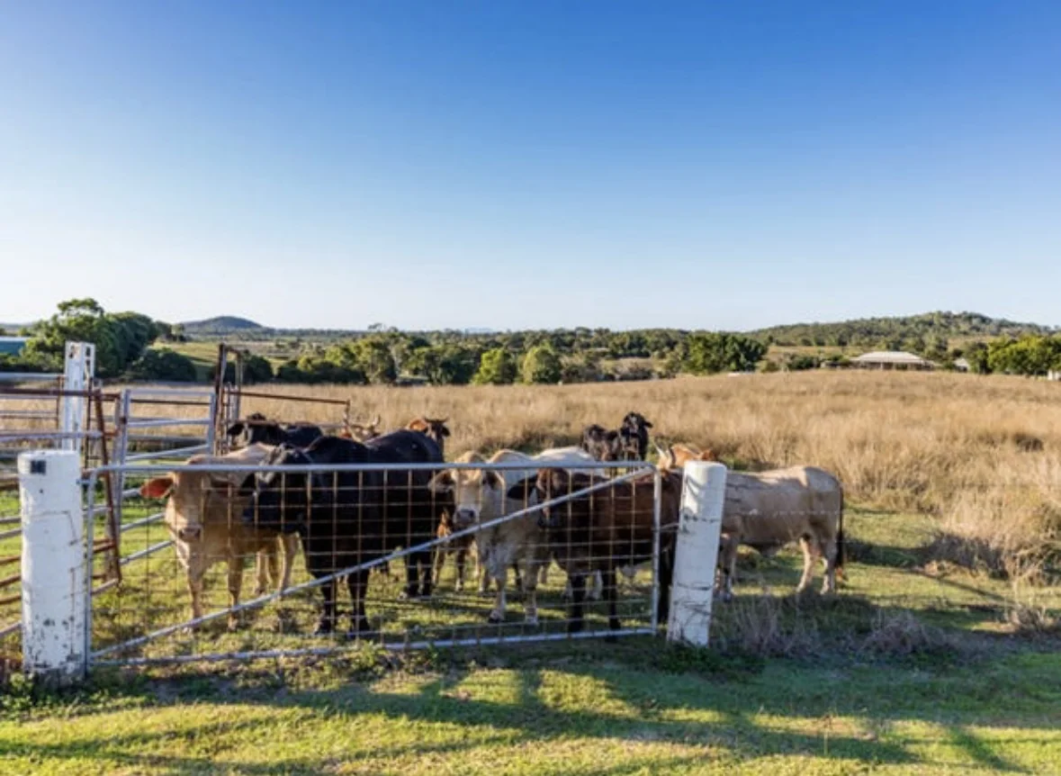 Additional image 18 of 54 Horsburgh Road, Hay Point QLD 4740