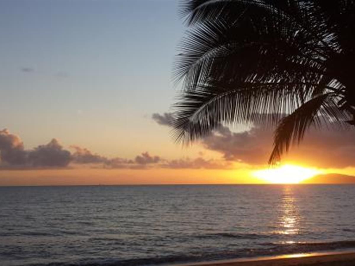 2 bedrooms Duplex in 1/23 Zamia St HOLLOWAYS BEACH QLD, 4878