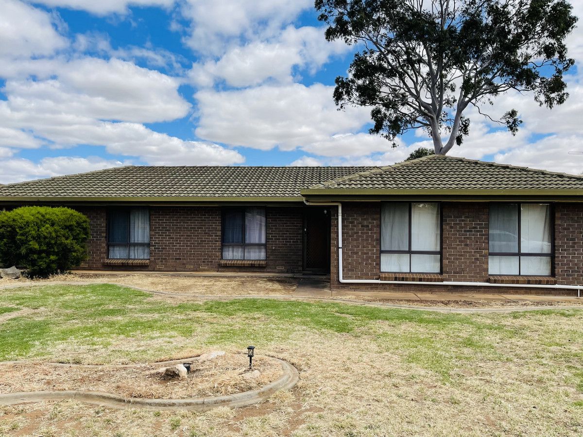 3 bedrooms House in 17 grey Crescent WILLASTON SA, 5118