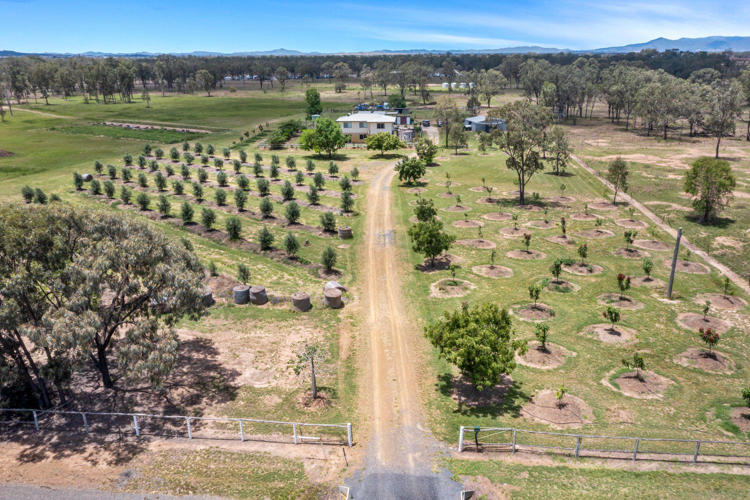 Alton Downs - Nine Mile Rd, Alton Downs QLD 4702, Image 0