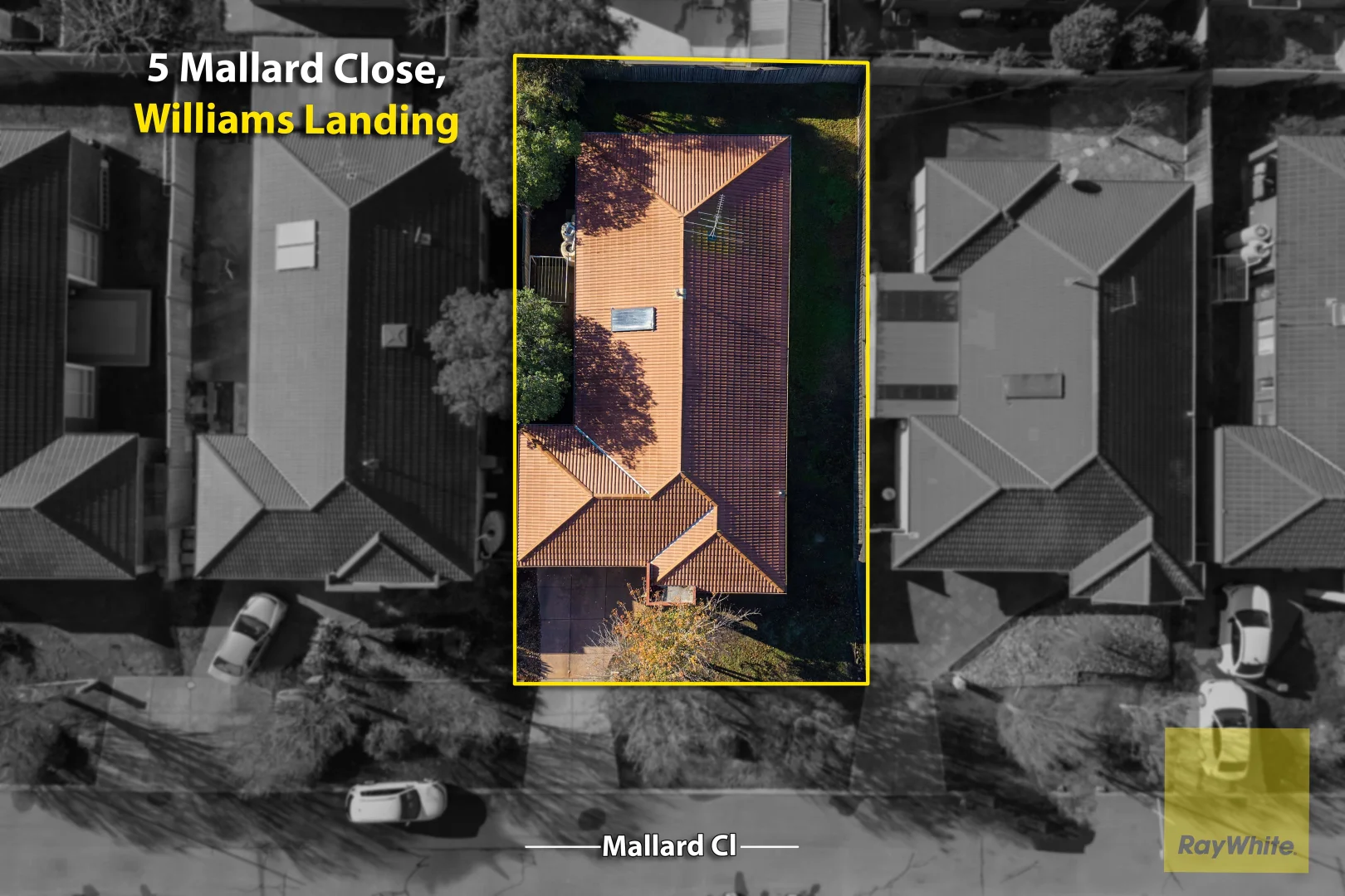 Image 15