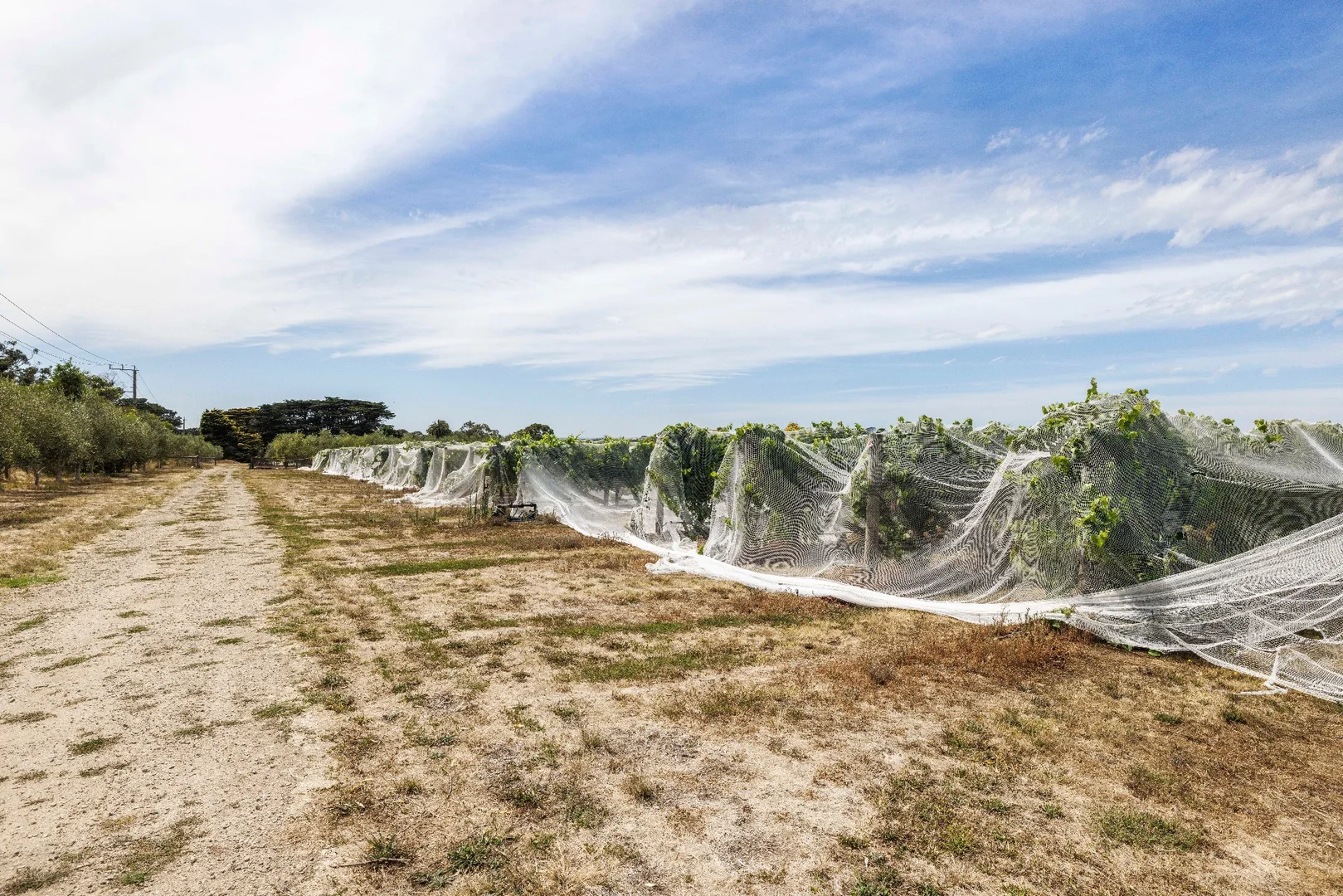 Additional image 17 of 191 Coolart Road, Hastings VIC 3915