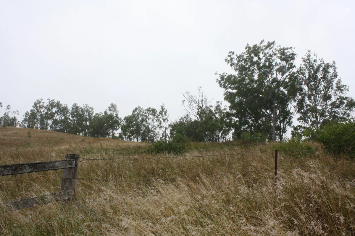 Image 9