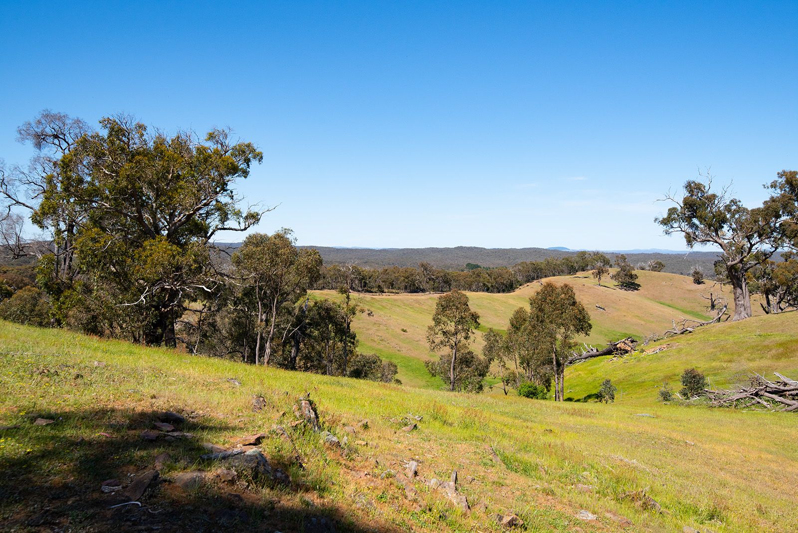 Bubbs Lane, Elphinstone VIC 3448, Image 2