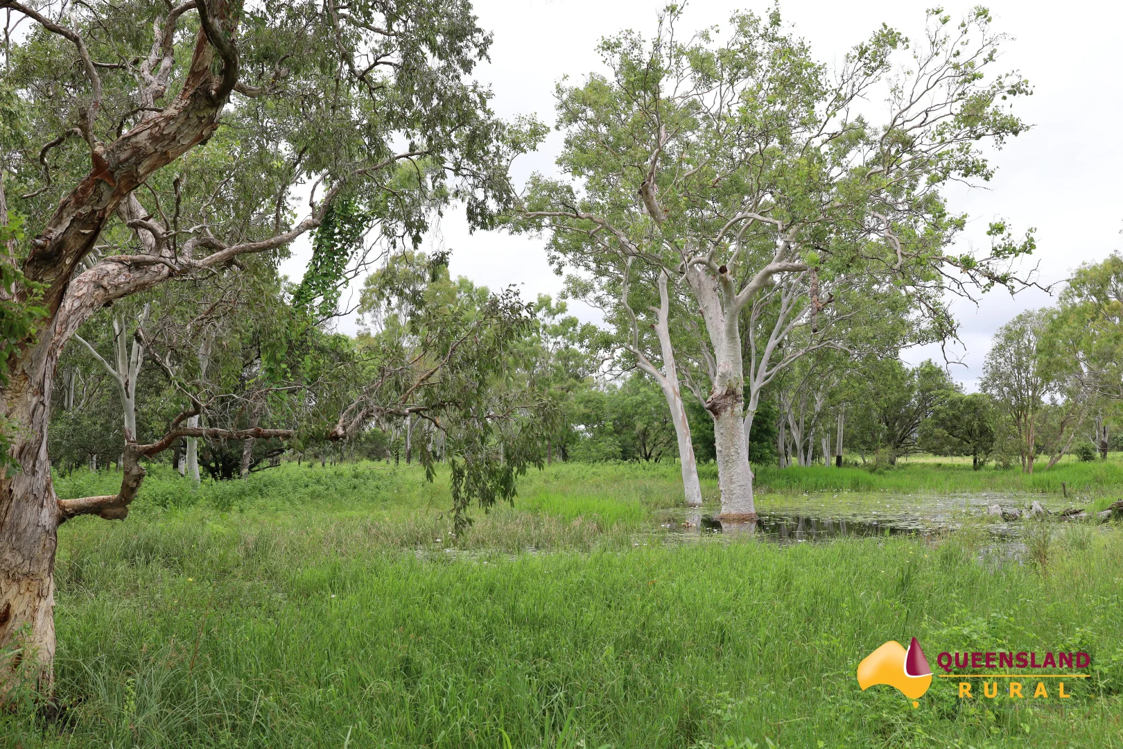 Additional image 9 of Gumlu QLD 4805