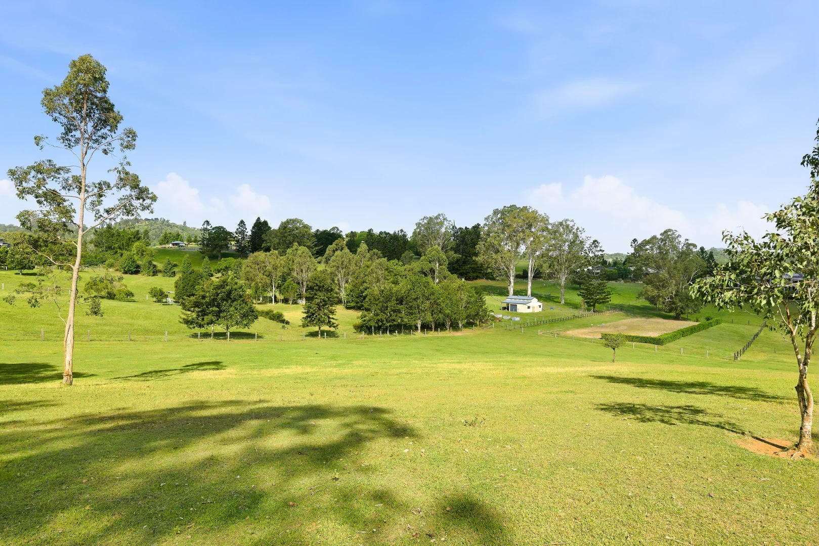Image 13