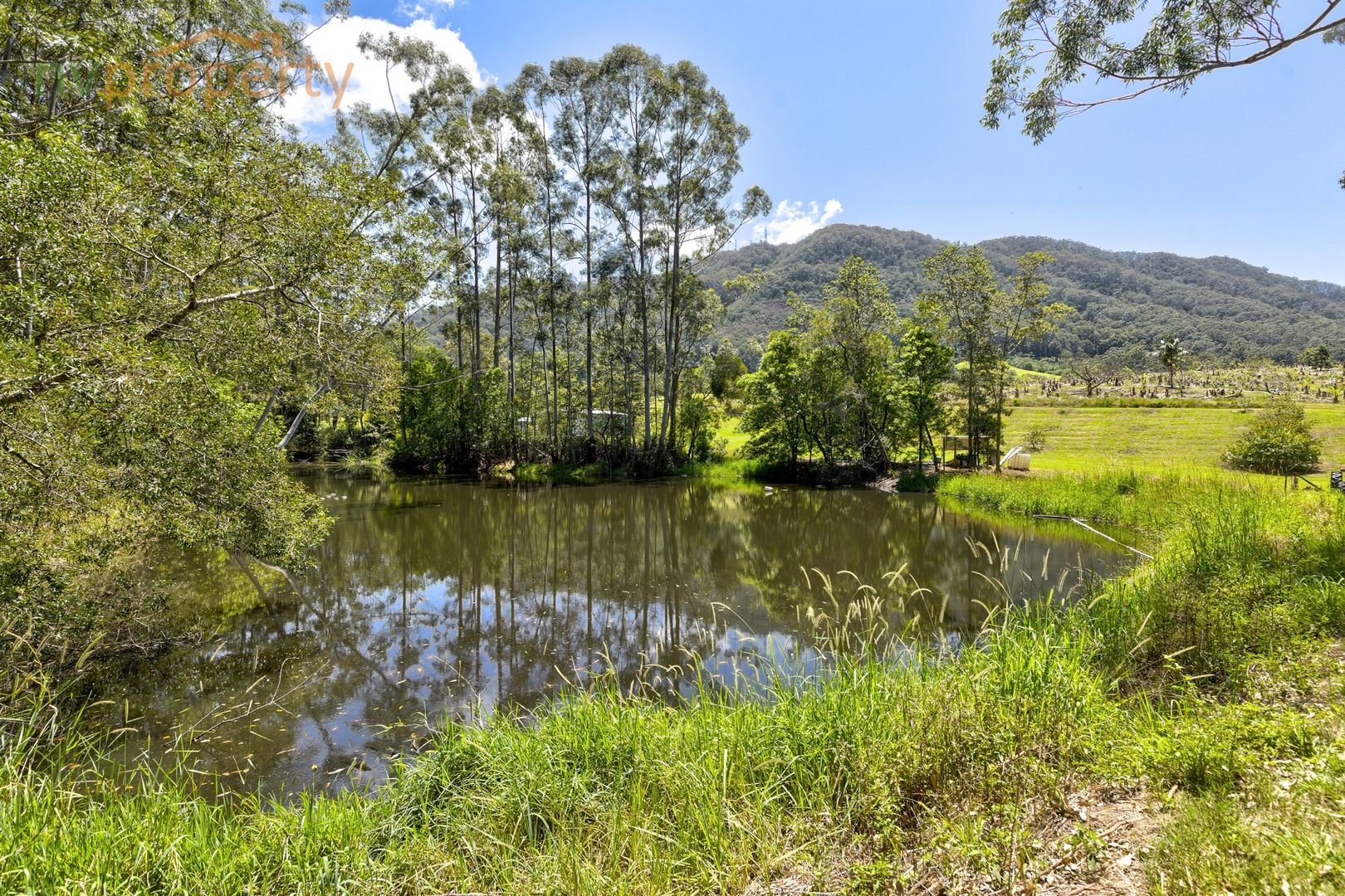 238 Mighell Road, Yarrahapinni NSW 2441, Image 2