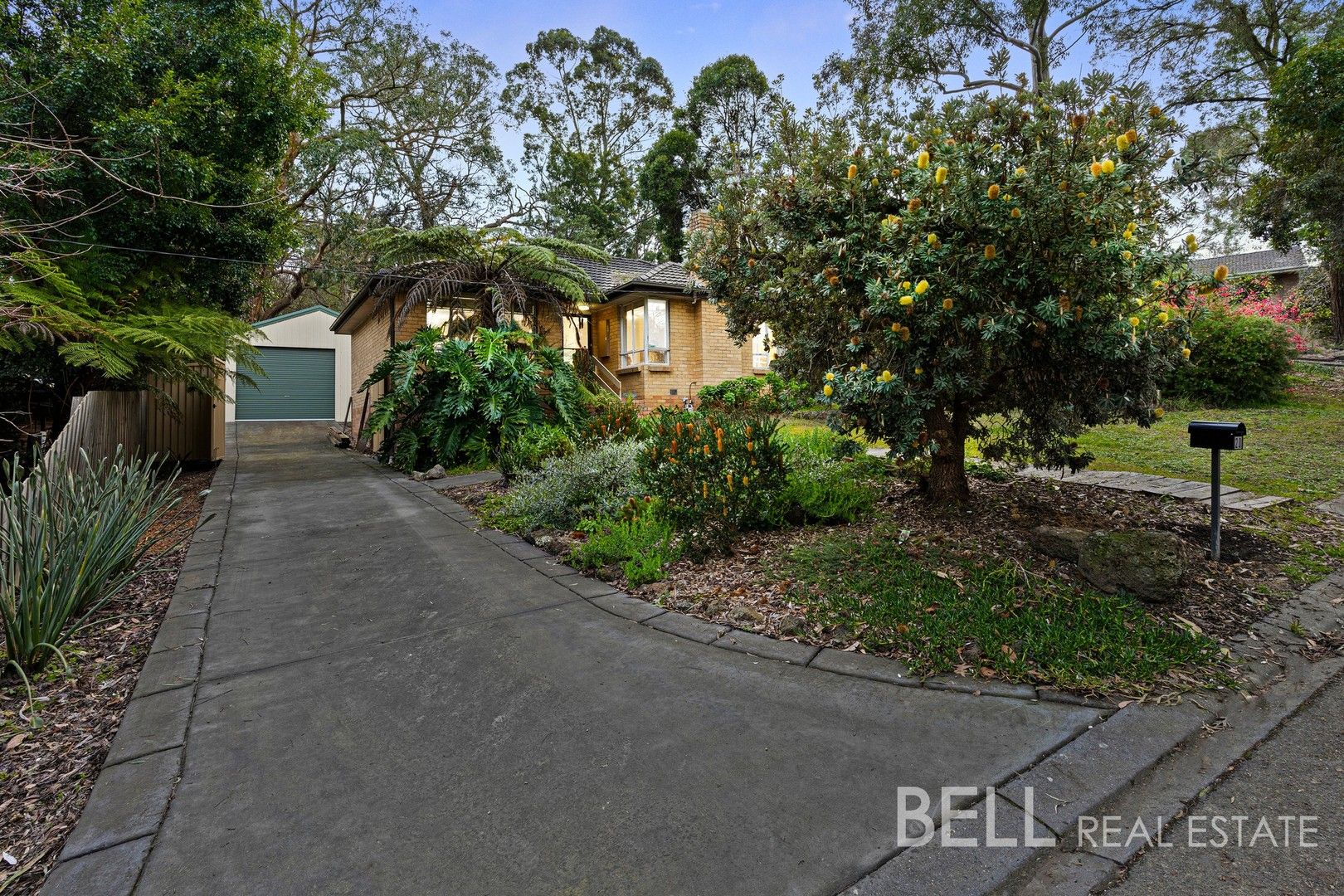 20 Boxtree Road, Montrose VIC 3765, Image 0