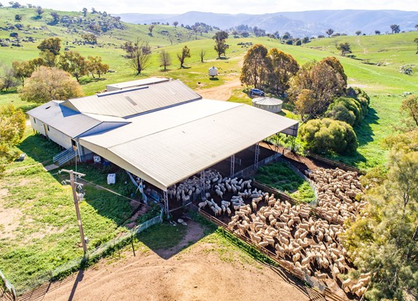 635 Decca Road, Bigga NSW 2583