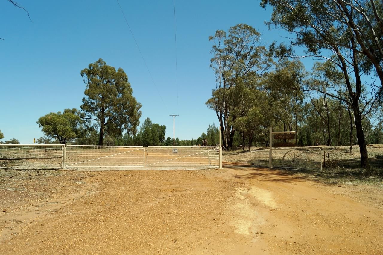 8L Medway Road, Brocklehurst NSW 2830, Image 0