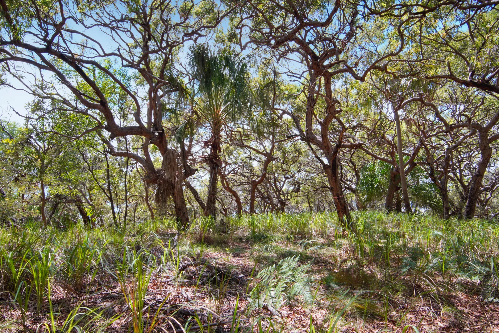 Image 6