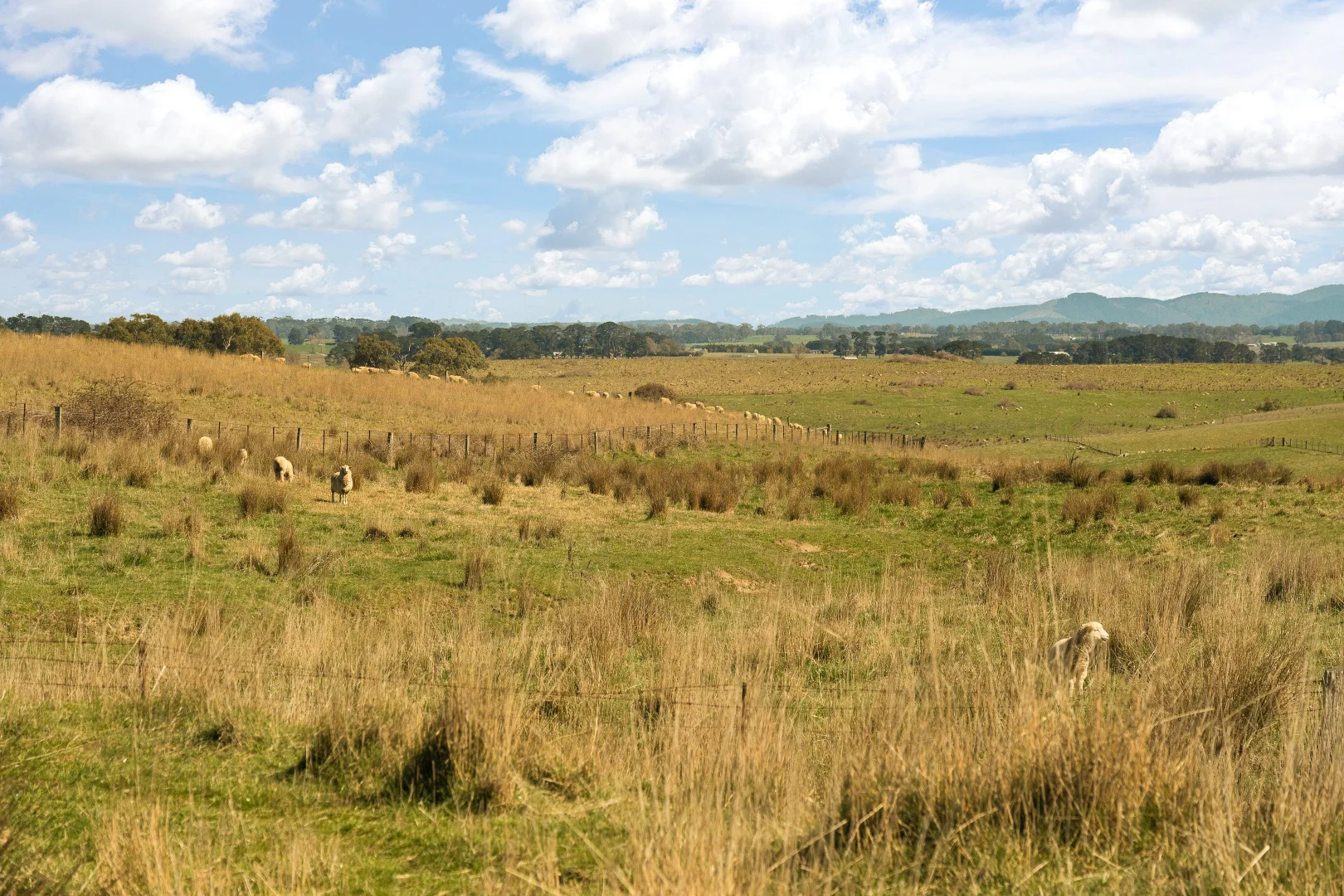 Additional image 25 of Millthorpe NSW 2798