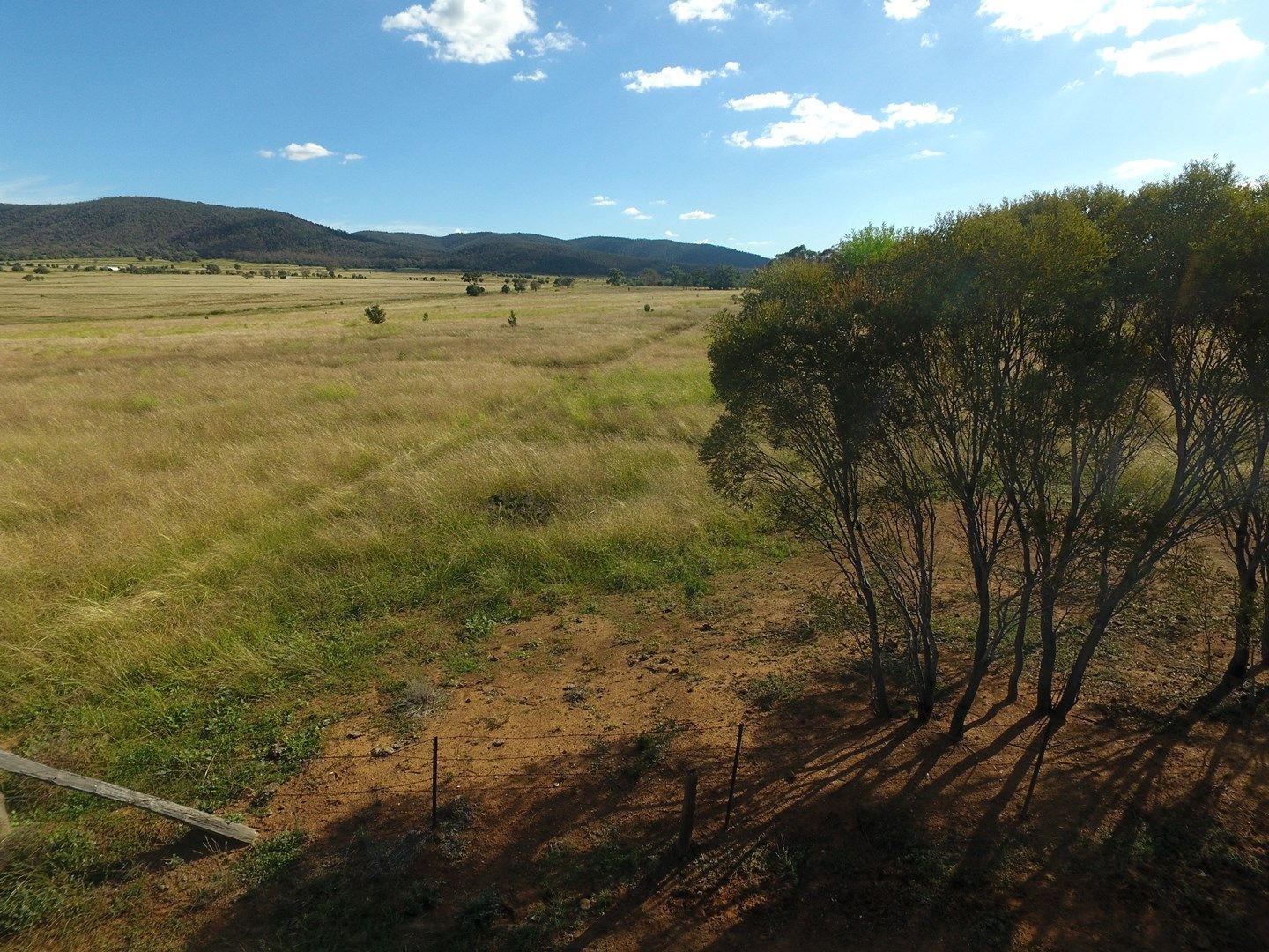 Lot 144 Cobbadah Road, Bingara NSW 2404, Image 0