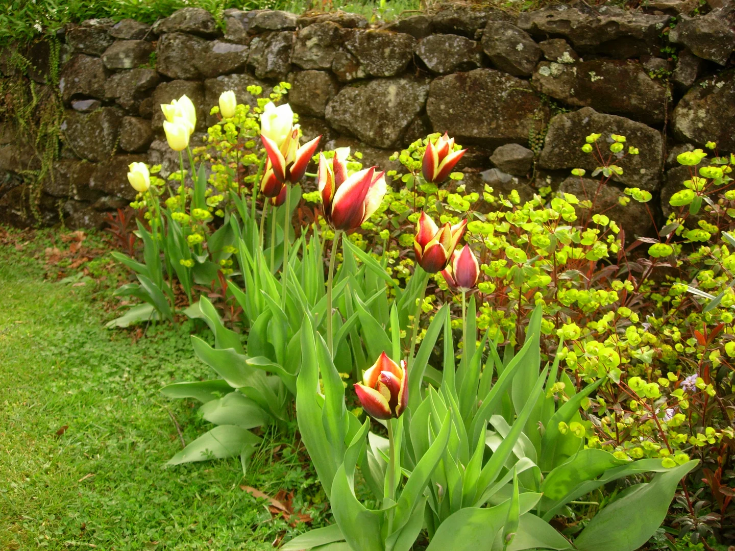 Image 14