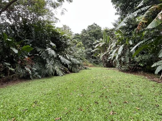 Image 17