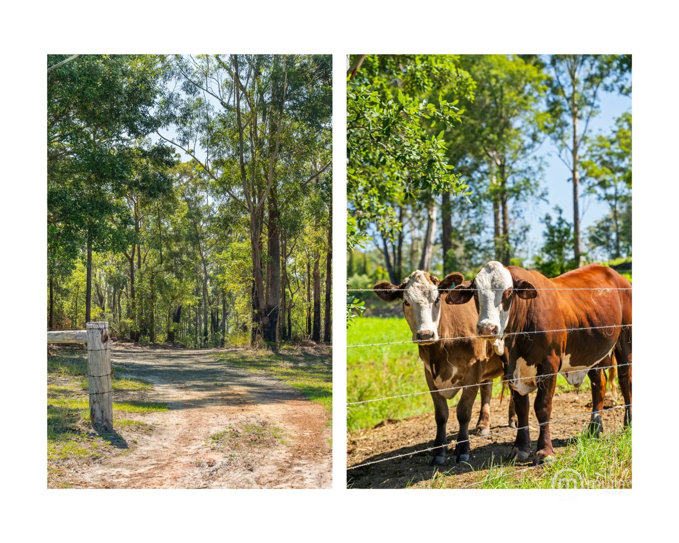 Additional image 24 of Milton NSW 2538