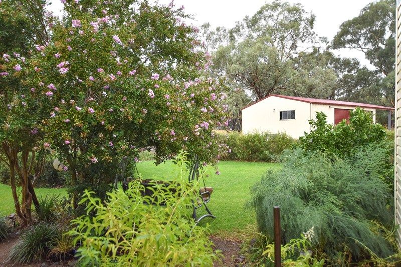 3792 The Escort Way, Cudal NSW 2864, Image 2