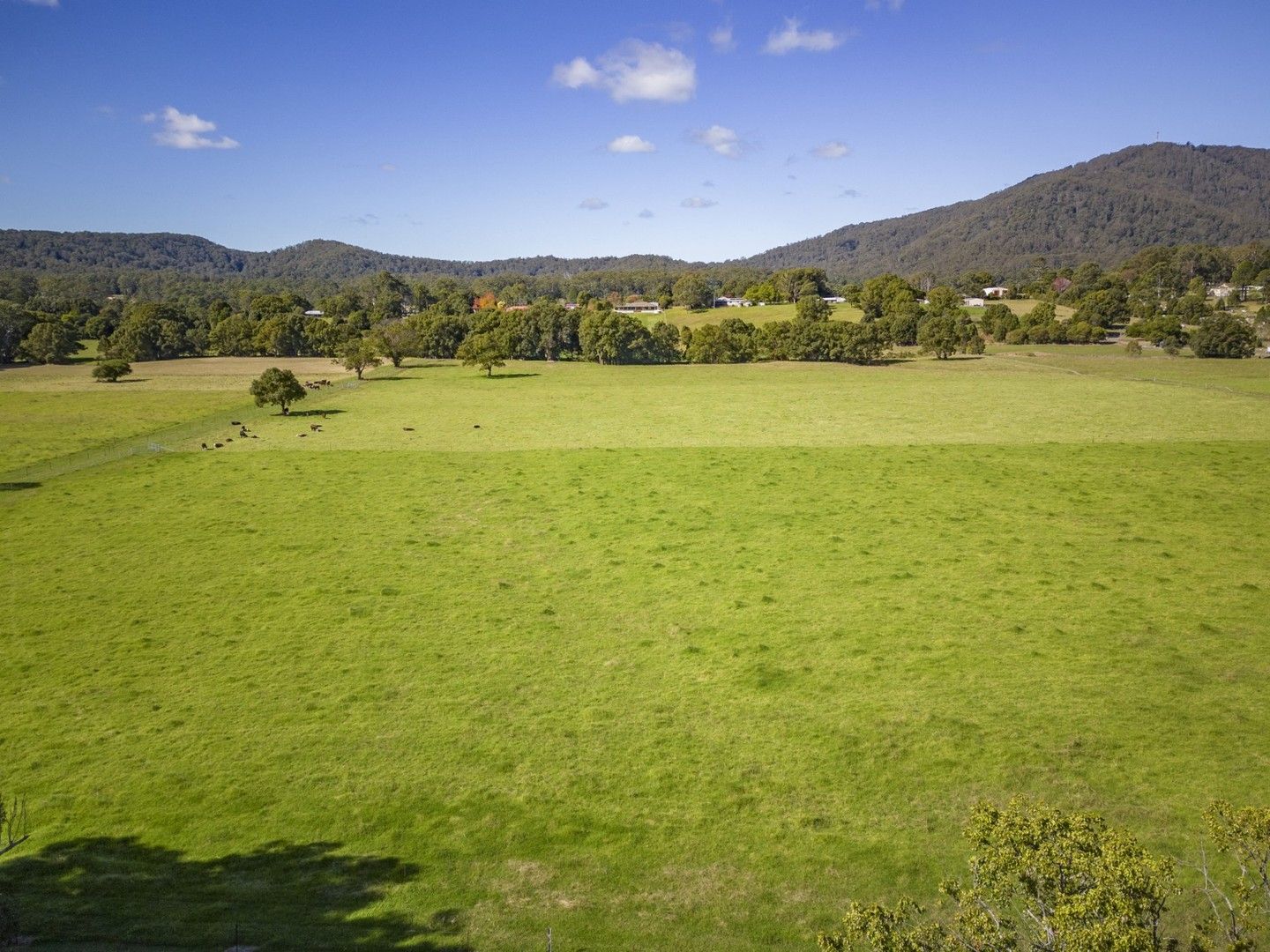 369 East Bank Road, Coramba NSW 2450, Image 1