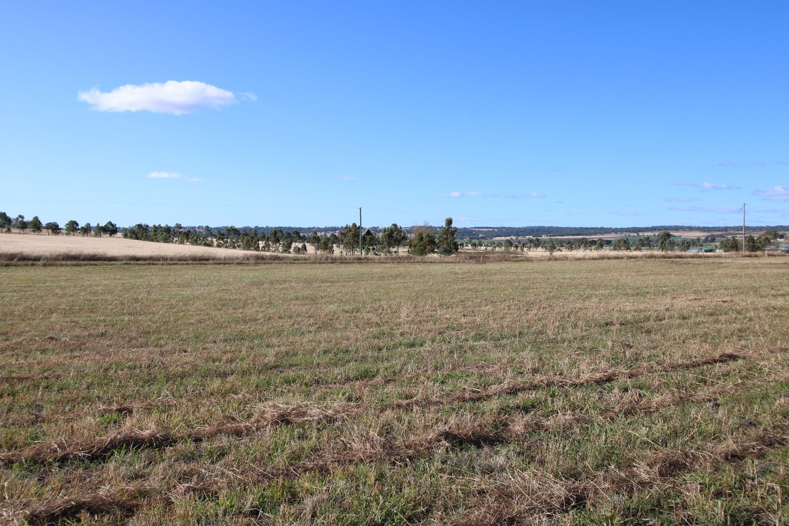 Lot 103 Bolands Lane, Inverell NSW 2360, Image 2