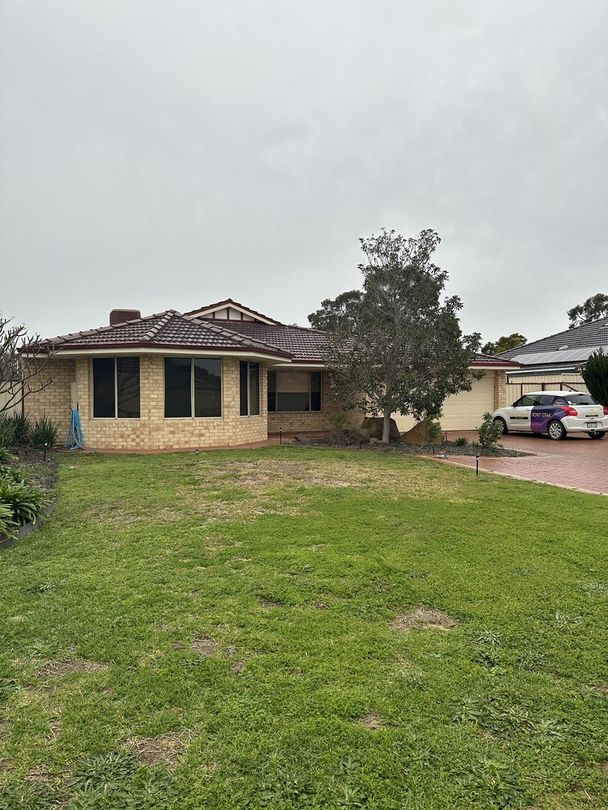 6 Leven Place, Seville Grove WA 6112 House For Rent Domain