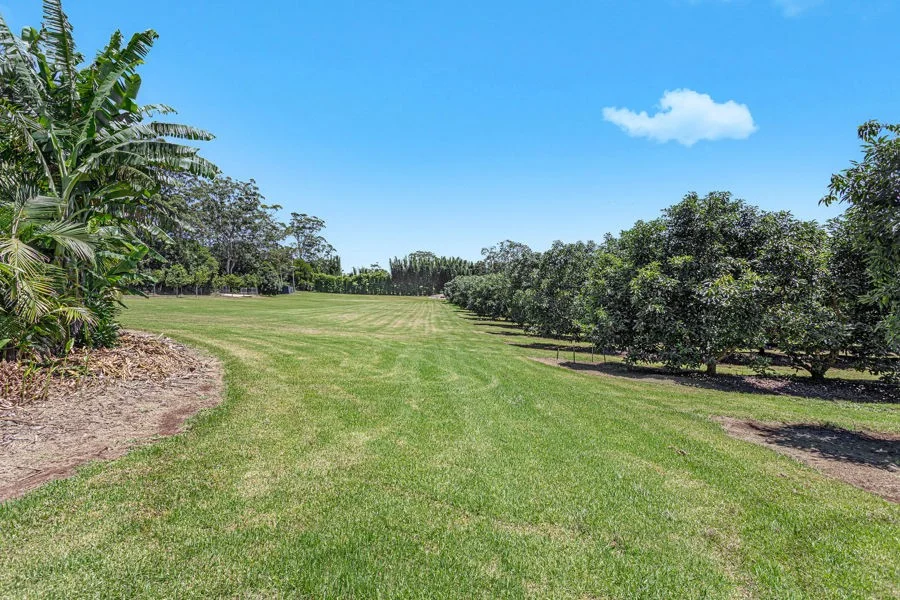 Additional image 18 of Lot 4 Horrex Road, Ravensbourne QLD 4352