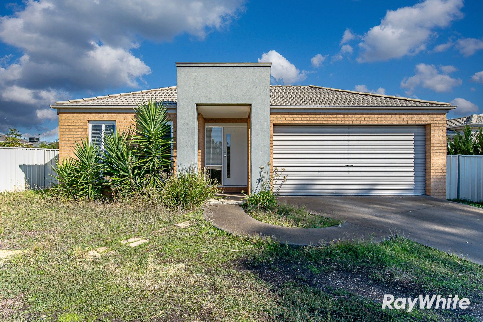 3 Mallee Place, Epsom VIC 3551 House For Rent Domain