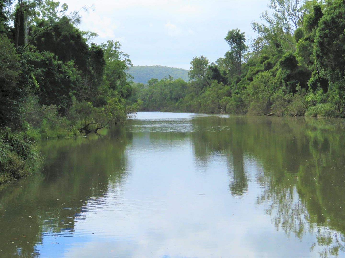 418 Bindaree Road, Mount Tom Property History & Address Research Domain