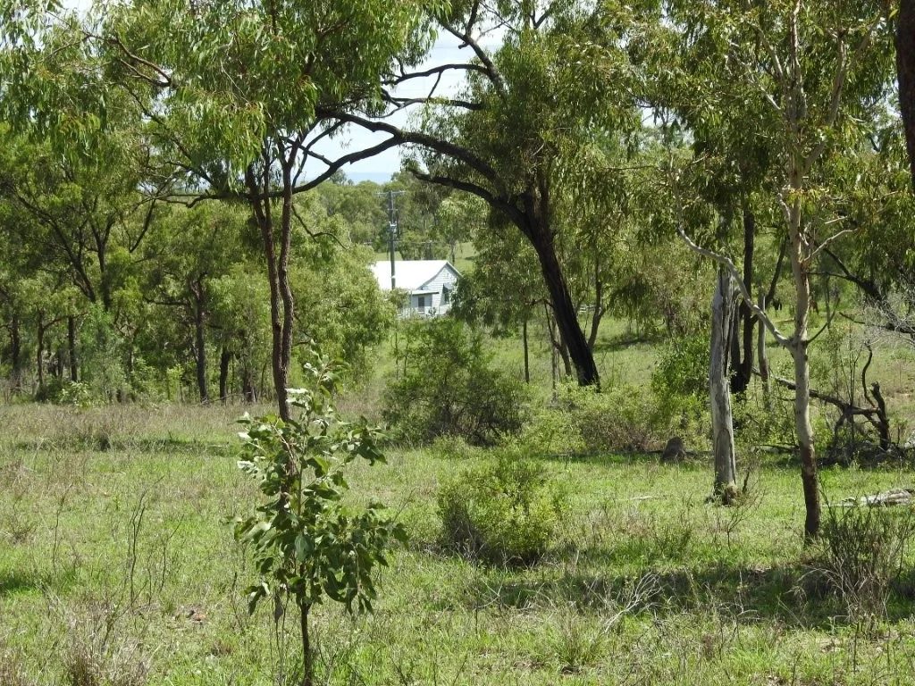 Image 21