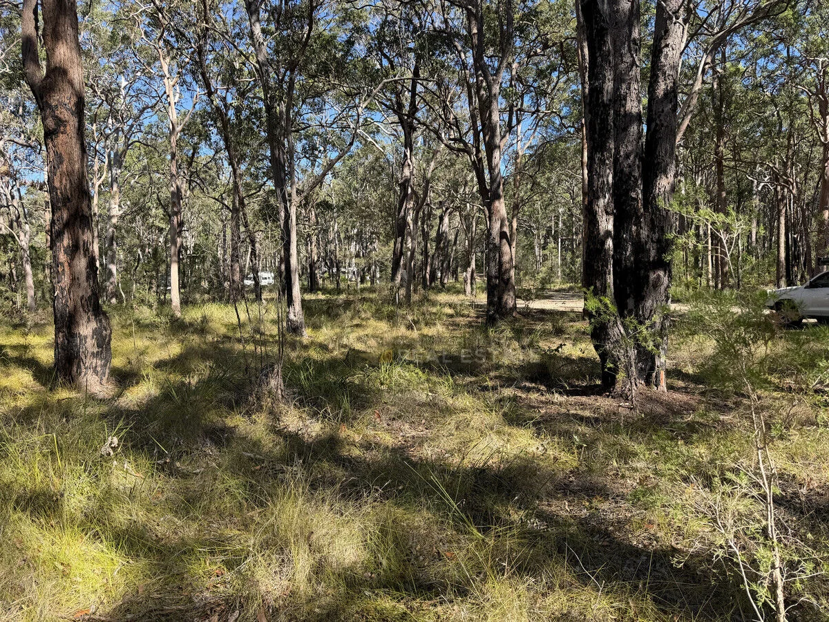 Image 12