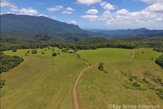 Picture of BUTCHERS CREEK QLD 4885