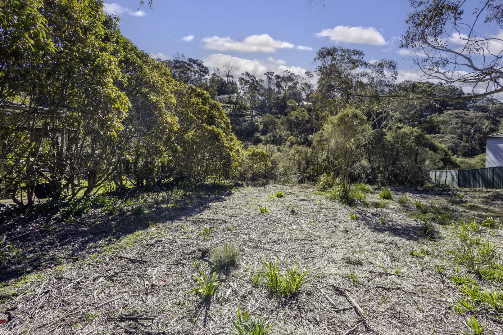 Image 6