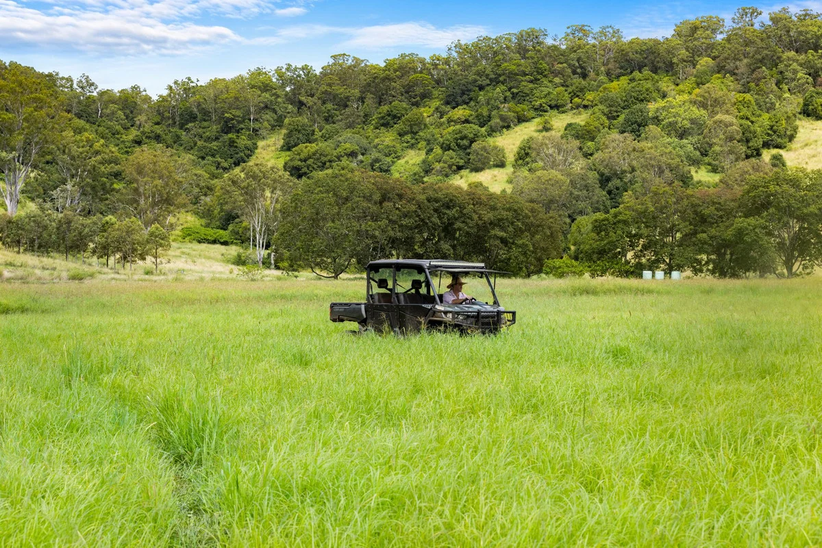 Additional image 24 of 35 Somerville Road, Blakebrook NSW 2480