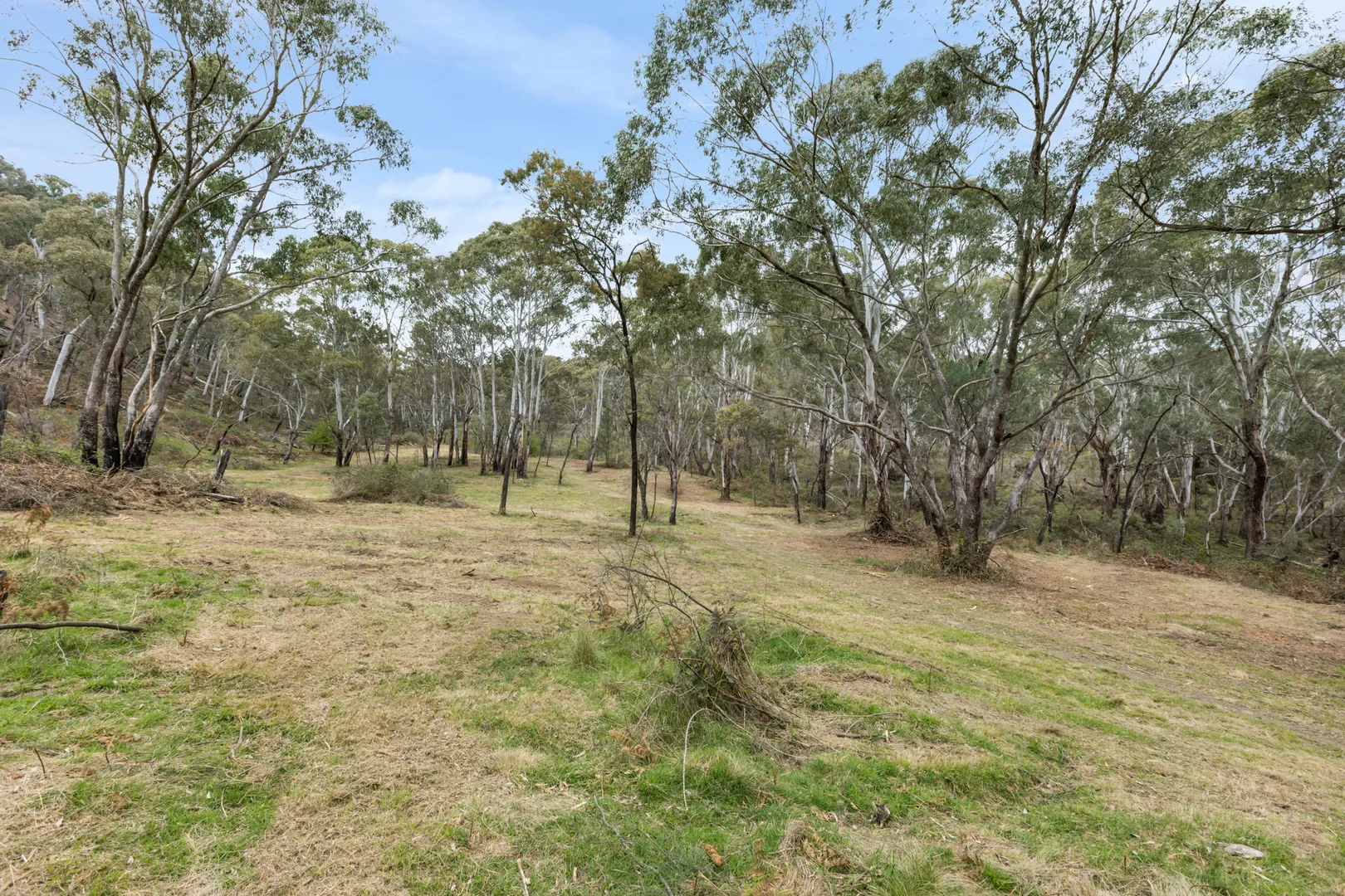 Large Acreage Bush Block - View 5