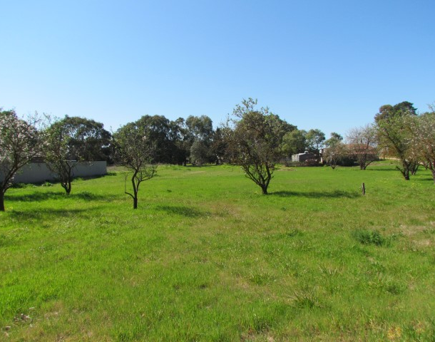 Lot 119 Langhorne Creek Road, Langhorne Creek SA 5255