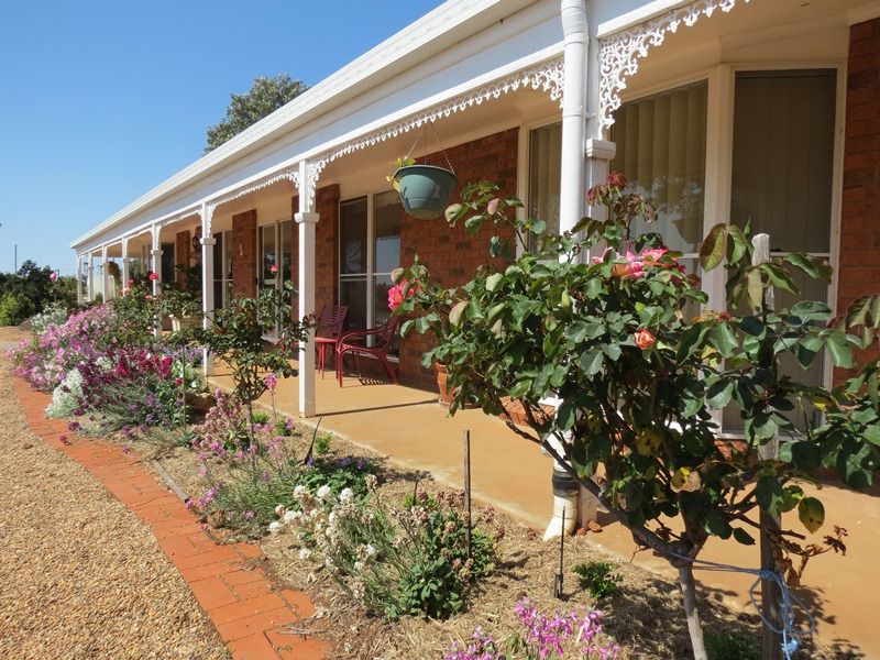 31L Rosedale Road, Dubbo NSW 2830, Image 2