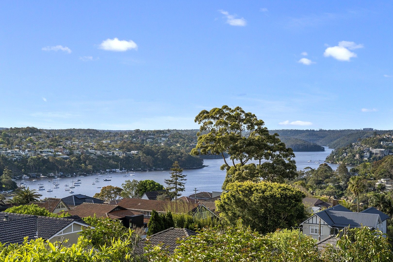 23 Everview Avenue, Mosman NSW 2088, Image 0