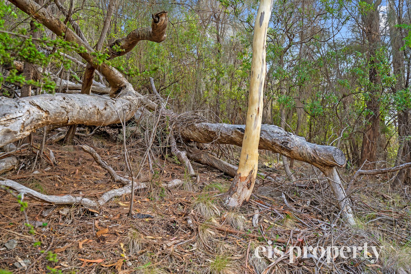 Lot 2 Channel Highway, Taroona TAS 7053, Image 1