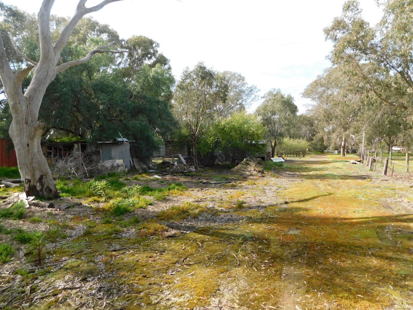 207 Euroa Main Road, Euroa VIC 3666, Image 2