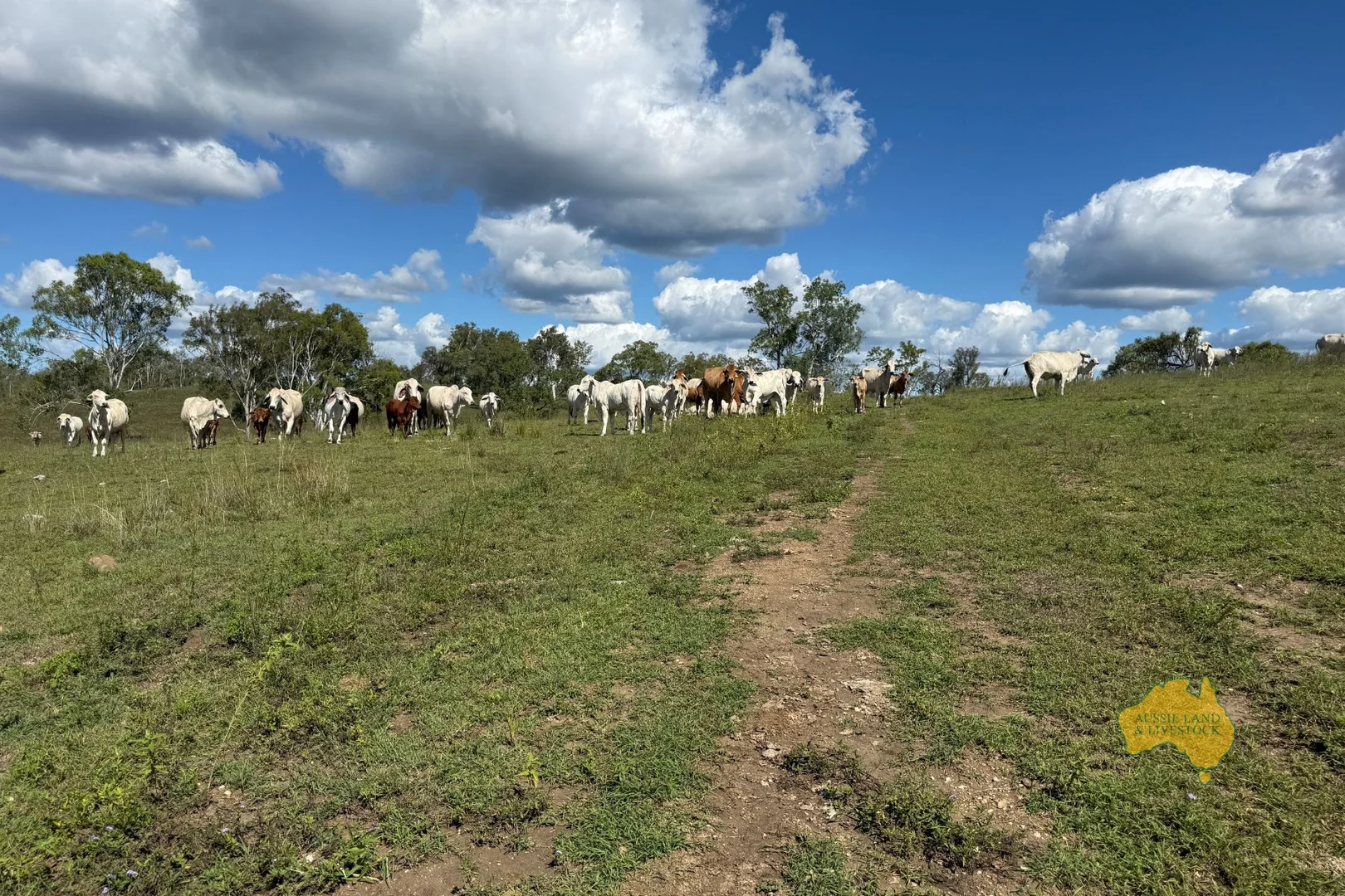Additional image 17 of 527 KILLERS ROAD, New Moonta QLD 4671