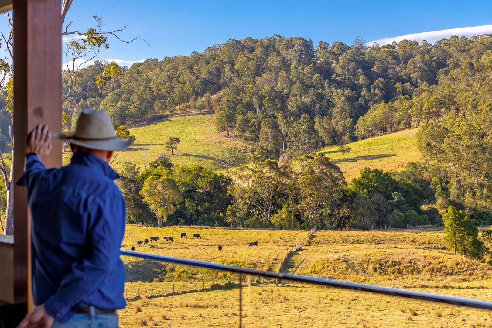 107 Milligans Lane, Firefly NSW 2429, Image 0