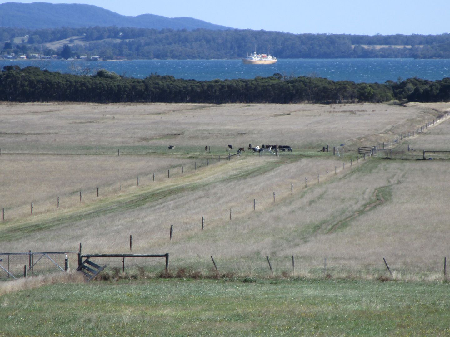 - Westwoods Road, Rowella TAS 7270, Image 1