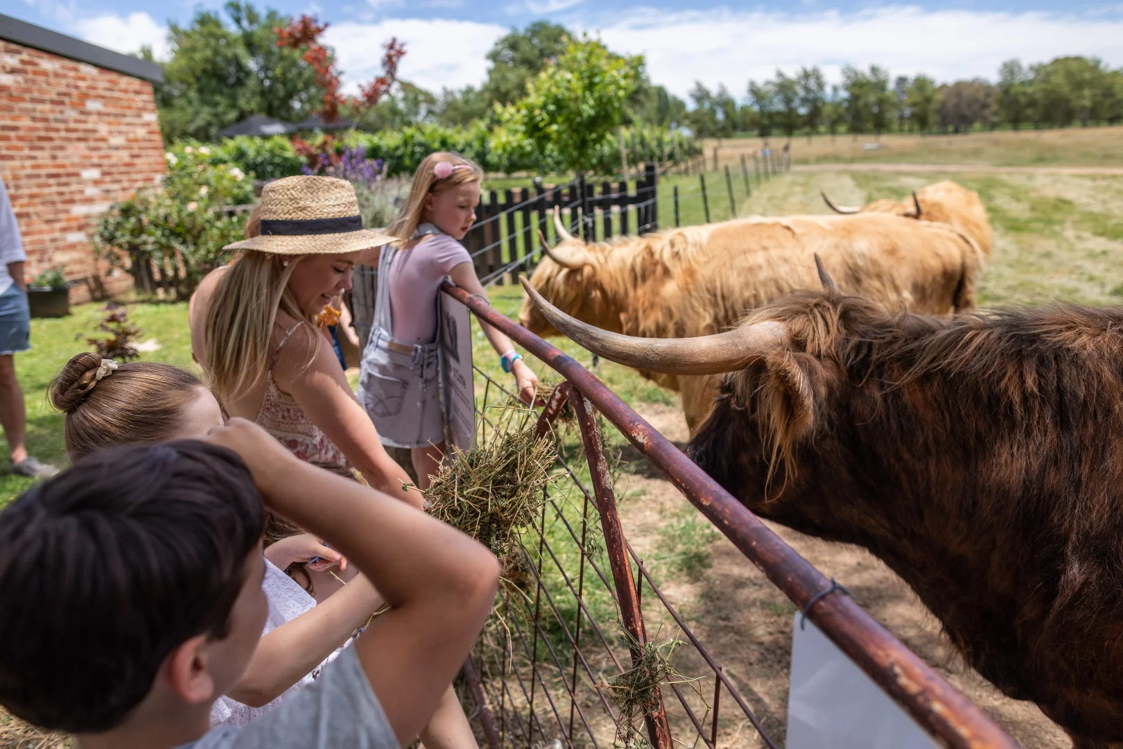 Additional image 21 of 1034 The Escort Way, Orange NSW 2800