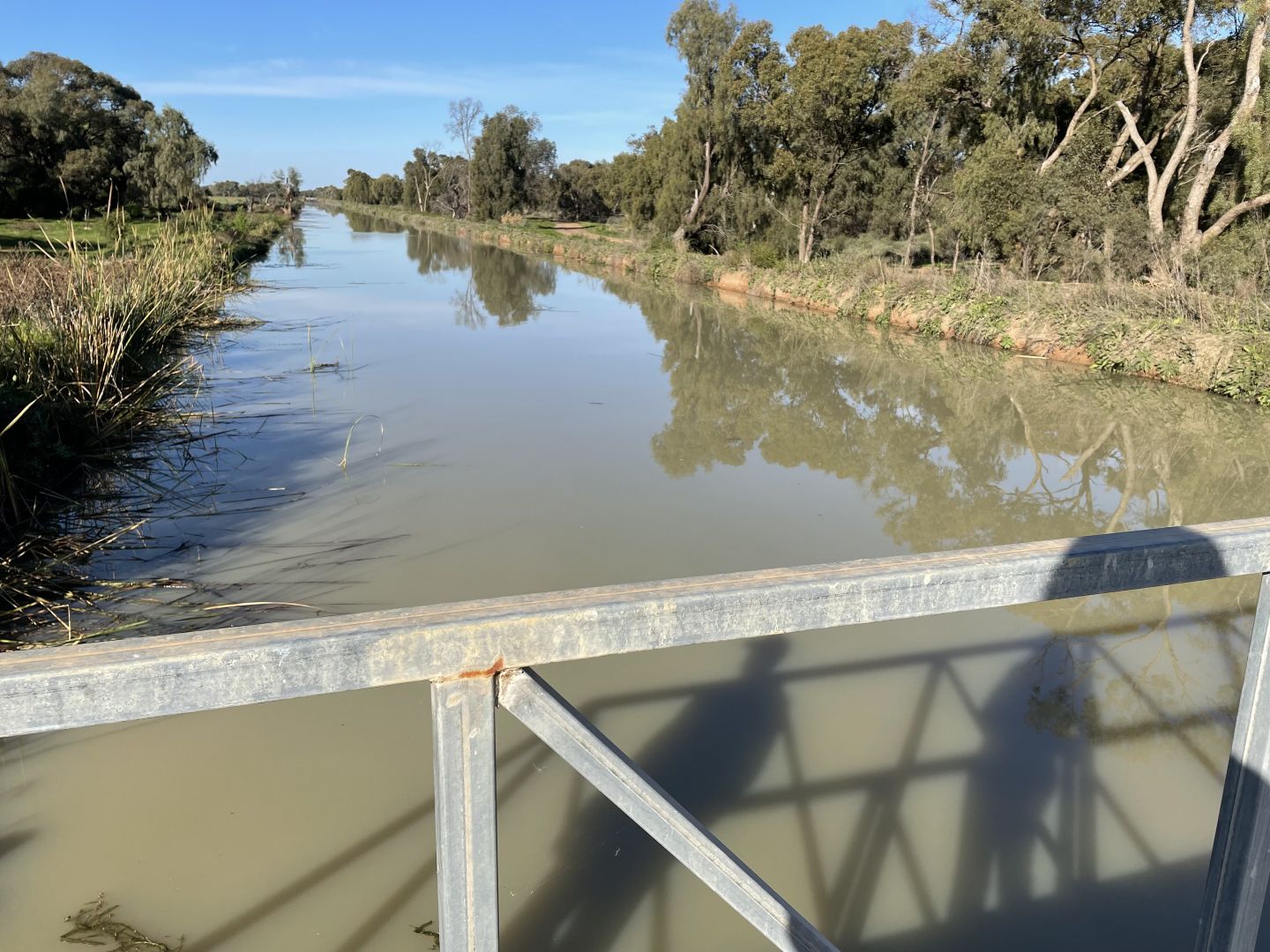 706 Girdlers Road, Goolgowi NSW 2652 Specialist Farm for Sale