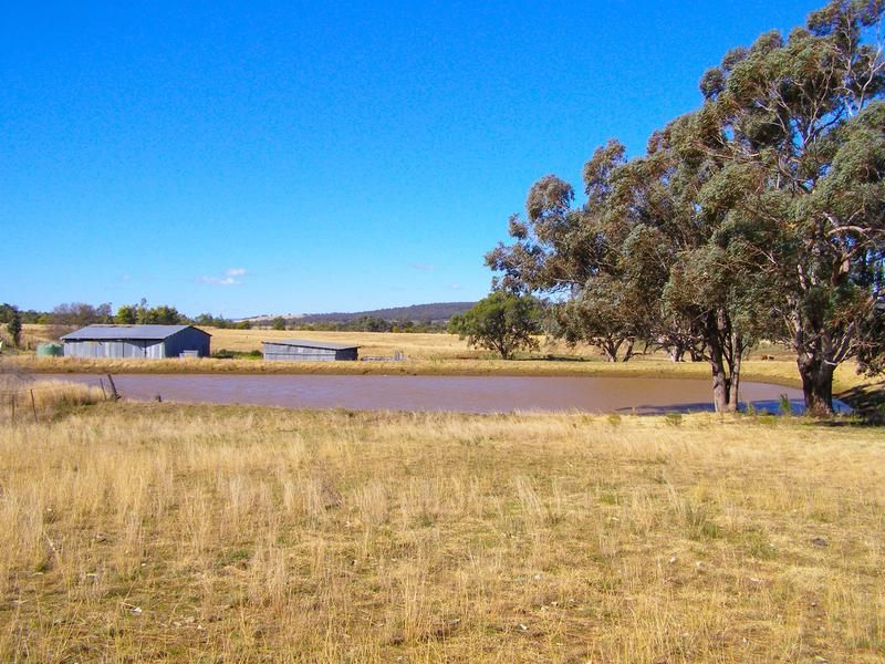 8263 Gwydir Highway, Inverell NSW 2360, Image 1