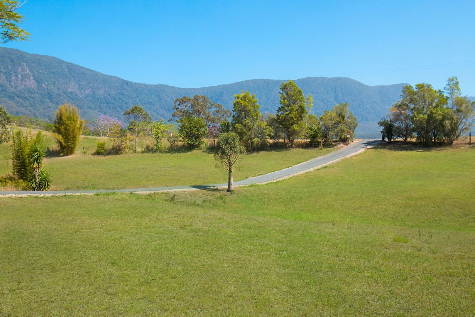 Tyalgum NSW 2484 Rural Lifestyle Property for Sale Domain