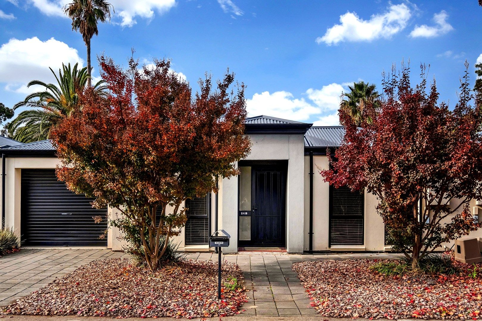 24B Crozier Terrace, Oaklands Park SA 5046, Image 0